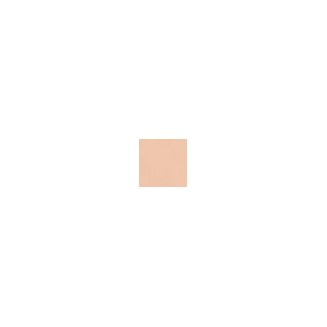 Elizabeth Arden Flawless Finish Perfectly Nude Makeup SPF 15 Bisque