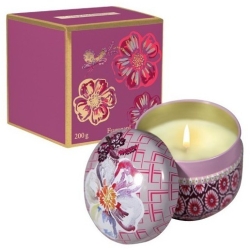 Fragonard Gingembre Vétiver - Candela Profumata 200 Gr