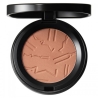 Mac Cosmetics Skinfinish Colourstruck - Blush In Polvere - Melba