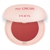 Pupa My Crush Lip & Cheek - Blush N. 005 You Drive Me Crazy