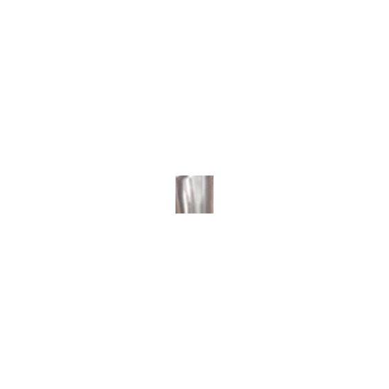 Layla Nail Powder Chrome Dream - 01 Pure Mirror