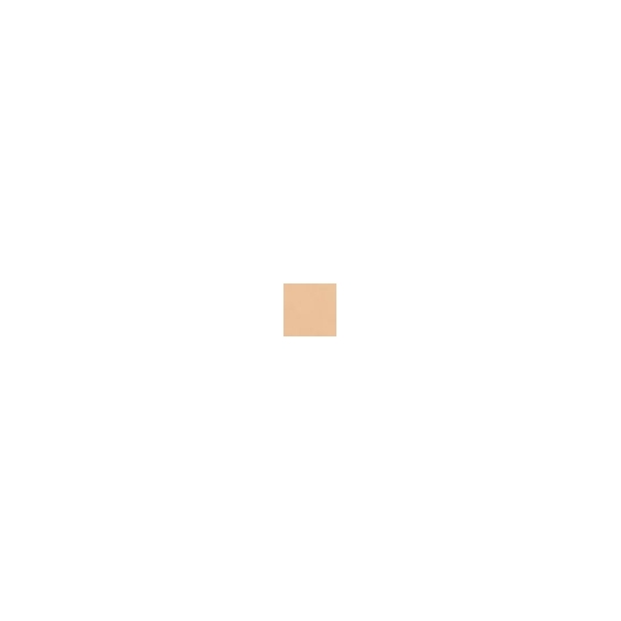 Elizabeth Arden Flawless Finish Perfectly Nude Makeup SPF 15 - Warm Sunbeige