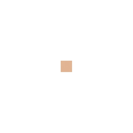 Elizabeth Arden Flawless Finish Perfectly Nude Makeup SPF 15 - Cashmere