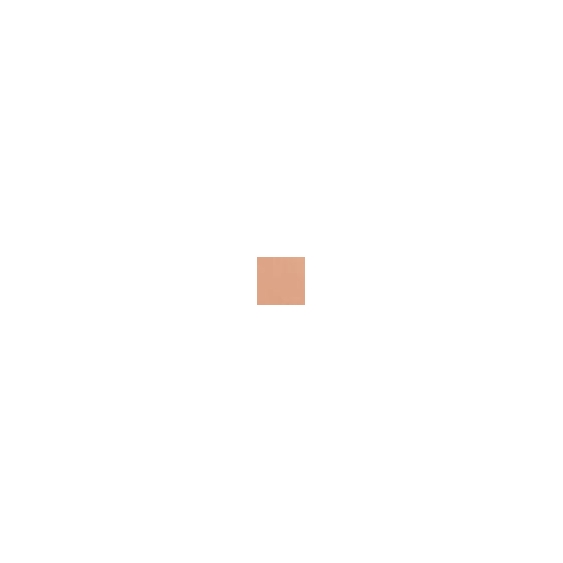Elizabeth Arden Flawless Finish Perfectly Nude Makeup SPF 15 - Cameo