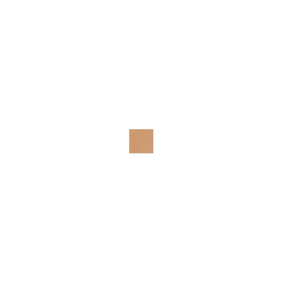 Flawless Finish Perfectly Satin 24HR Makeup SPF 15 - Bisque