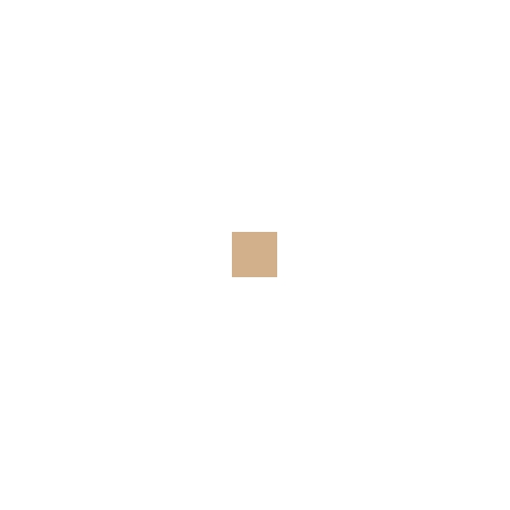 Clarins Everlasting Compact Foundation