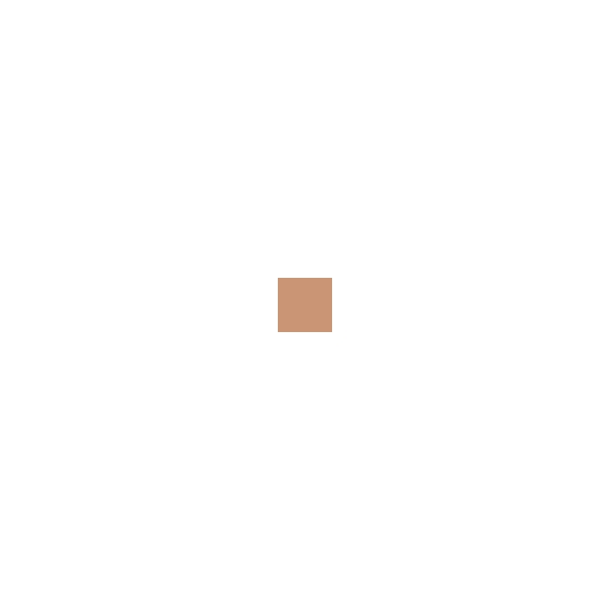 Clarins Everlasting Compact Foundation