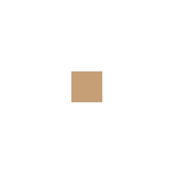 Shiseido Future Solution LX Total Radiance Foundation SPF20 - Golden 3