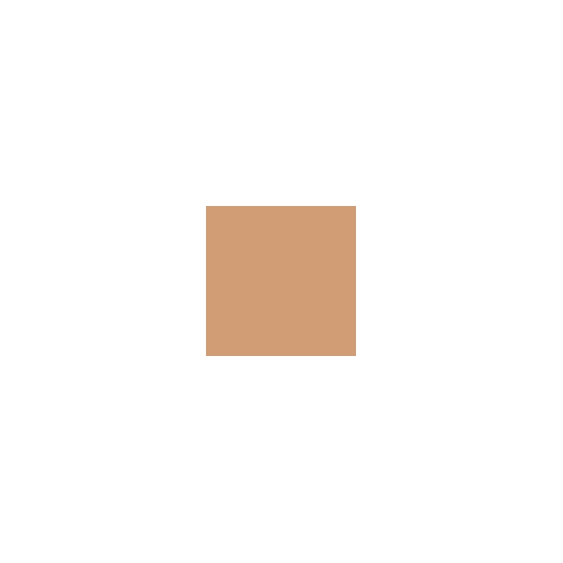 Estee Lauder Double Wear Stay-in-Place Powder Makeup SPF 10