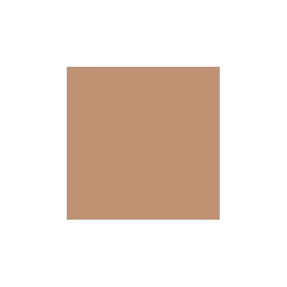Pupa Beauty Touch Fondotinta Stick - 060 Desert Beige