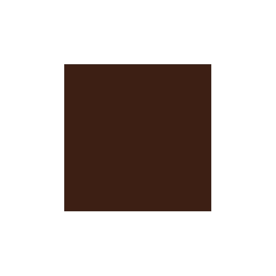 Sisley Phyto-Sourcils Design - 03 Brun