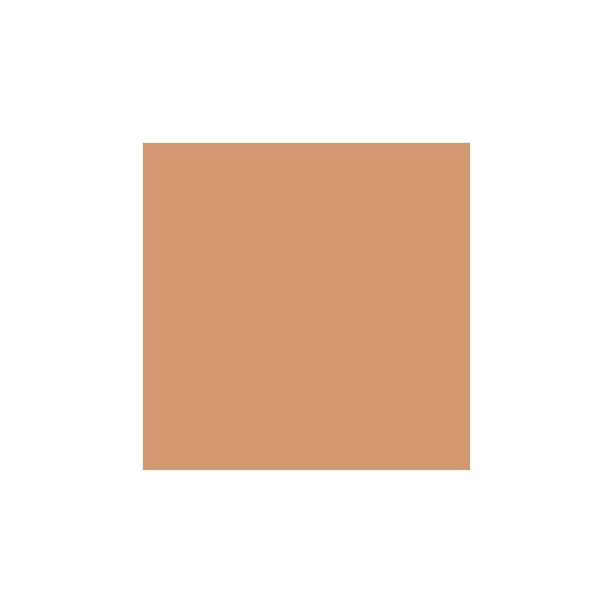 Guerlain Terracotta Skin Stick Illuminante - Bron