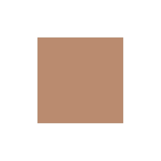 Mesauda Cover Stick Foundation - 607 Caramel