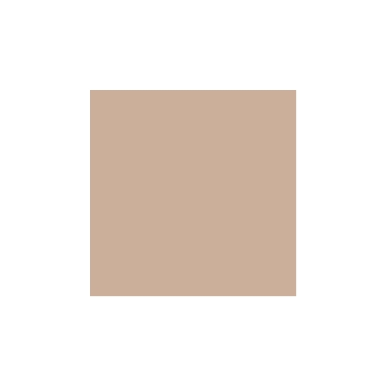 Mesauda Pro Light Concealer - 221W20