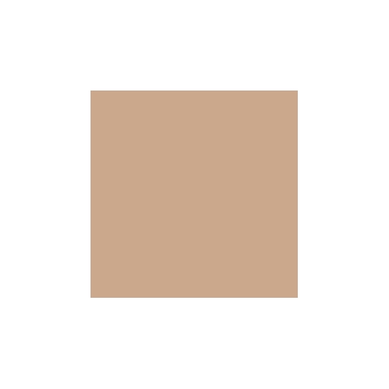 Mesauda Pro Light Concealer - 221N50