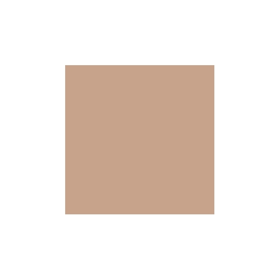 Mesauda Pro Light Concealer - 221W60