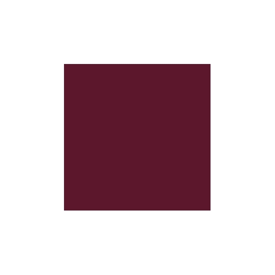 Mesauda Shine N'Wear Smalto  - 202 Bordeaux