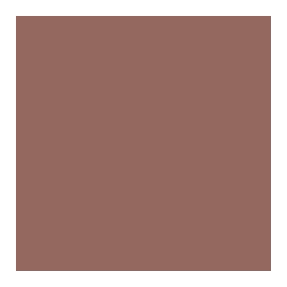 Yves Saint Laurent Vernis A Levres - 55 Beige Estempe