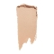 Shiseido Synchro Skin Gelstick Concealer - 203 Light