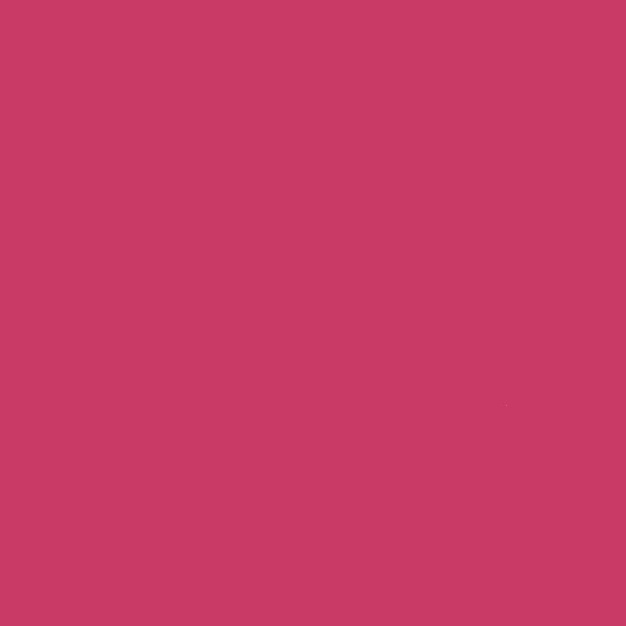 Yves Saint Laurent Vernis A Levres - 49 Fuchsia Filtre