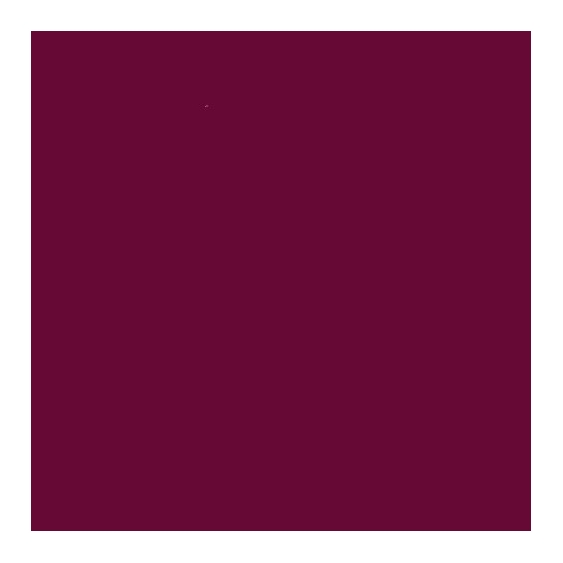 L'Oreal Paris Color Riche Matita labbra  - 374 Intense Plum