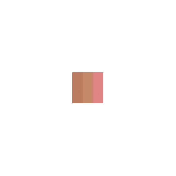 Guerlain Terracotta Light Bronzing Powder - 05 Foncé Rose