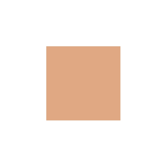 Shiseido Advanced Hydro-Liquid Compact (Refill)- SPF 10