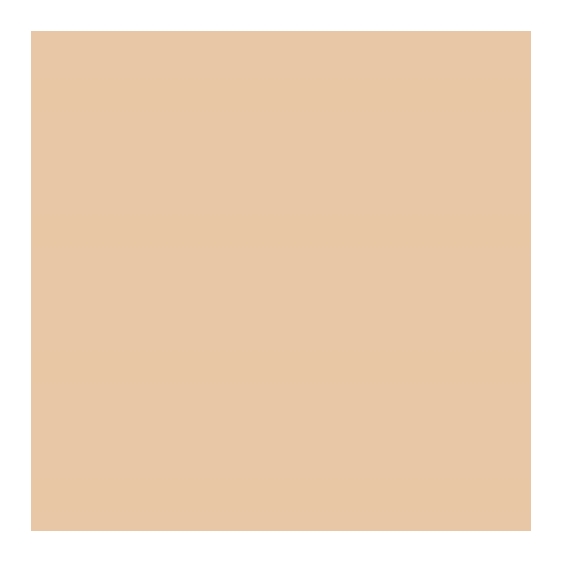 Estee Lauder Double Wear Sheer Long-Wear Makeup SPF20 - 1N1