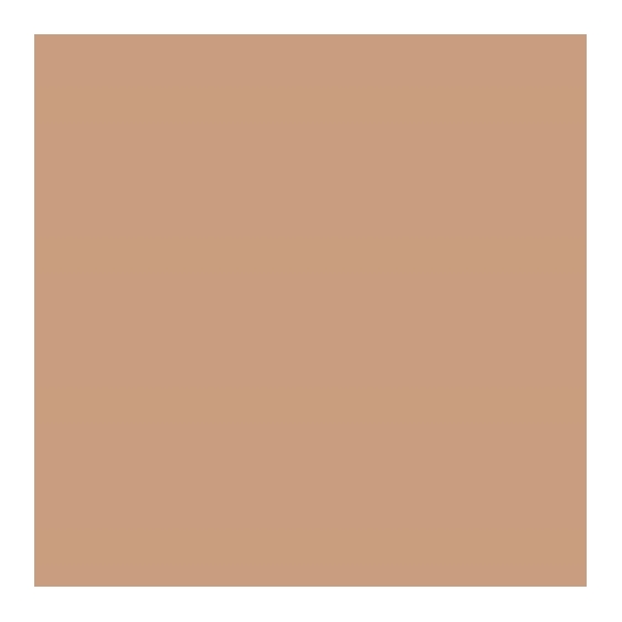 Estee Lauder Double Wear Sheer Long-Wear Makeup SPF20 - 4N2
