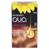 Garnier Olia Colorazione Permanente Senza Ammoniaca 7.3 Biondo Dorato