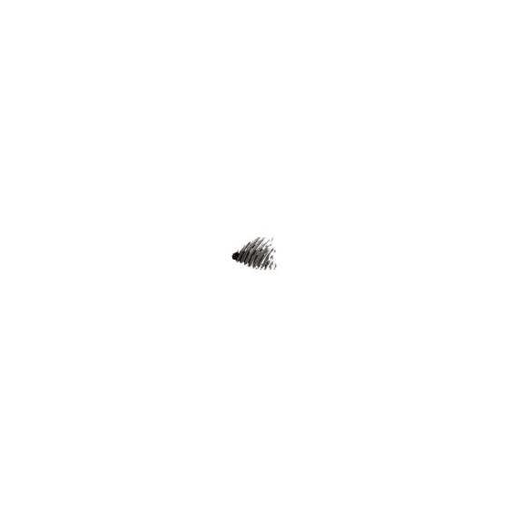 Shiseido Full Lash Volume Mascara - BK901