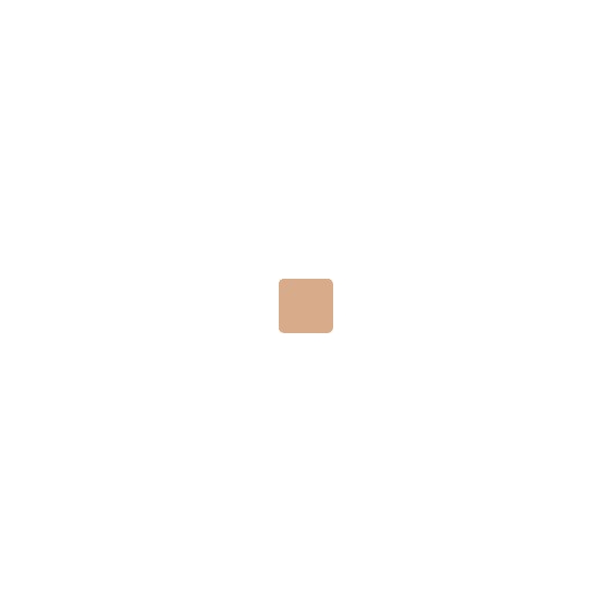 Estee Lauder Double Wear Stay-in-Place Makeup SPF 10 - 3N1 Ivory Beige 10