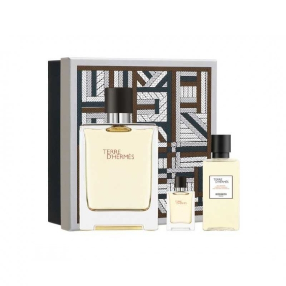 Hermes Terre D'Hermes Eau De Toilette 100 ml + 5 ml + Shower Gel Cofanetto