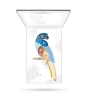 Pupa Parrot Cofanetto Make-Up Occhi - Rio