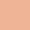 Shiseido Tanning Compact Foundation SPF10 Natural