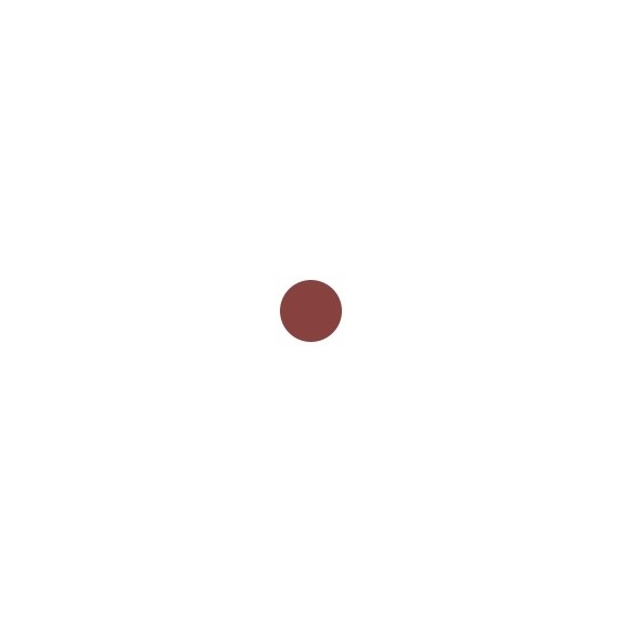 Sensai Colours The Lipstick - 11