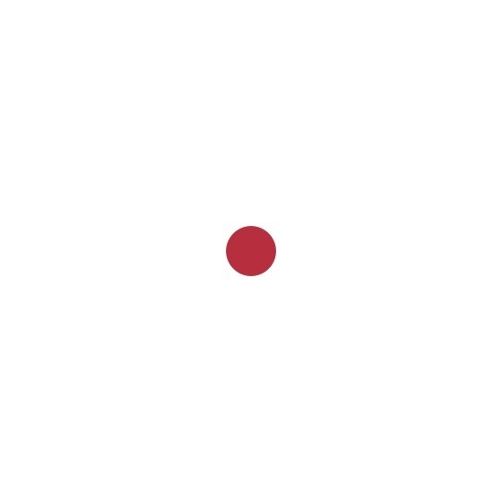 Sensai Colours The Lipstick - 13
