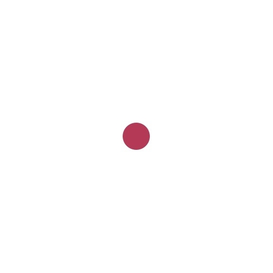 Sensai Colours The Lipstick - 21