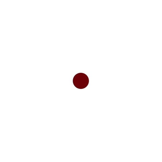 Sensai Colours Rouge Intense Lasting Colour - 104