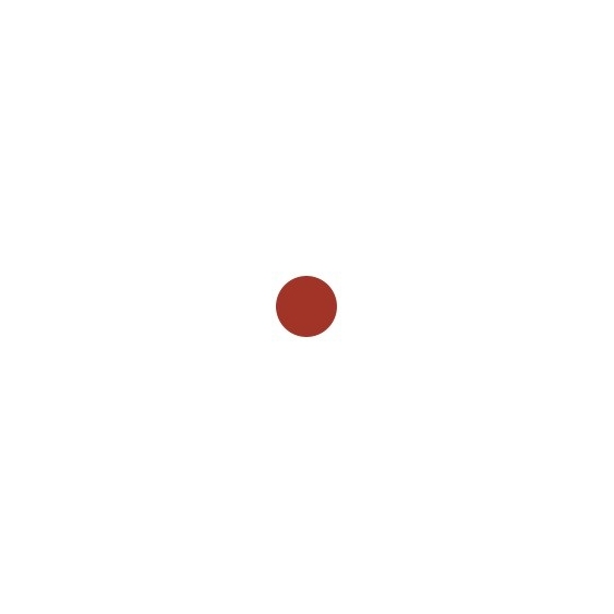 Sensai Colours Rouge Intense Lasting Colour - 114