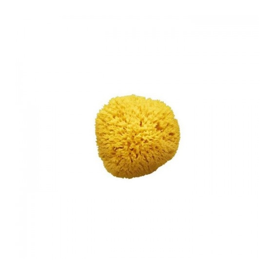 Farmacon Amidosan Spugna Di Mare Naturale Numero 14