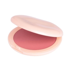 Neve Cosmetics Flat Perfection Blush In Polvere Velvet Blush